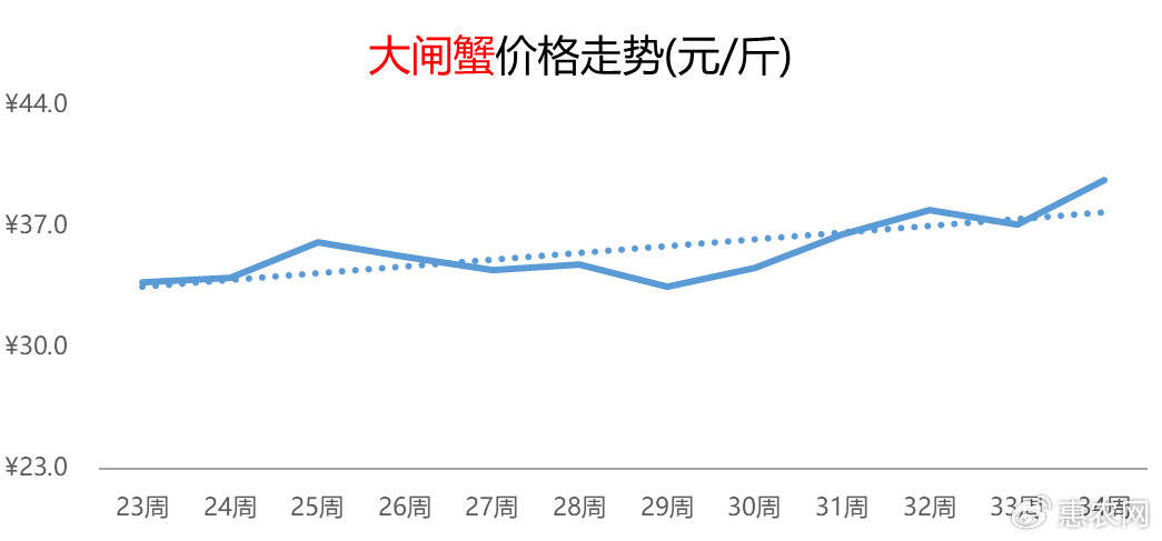 柚子热度延续提涨，鸡蛋价格频频抬头，苹果行情连涨五周