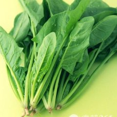 关于波菜币交易平台的信息