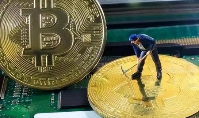 收币网(收古币的网站)