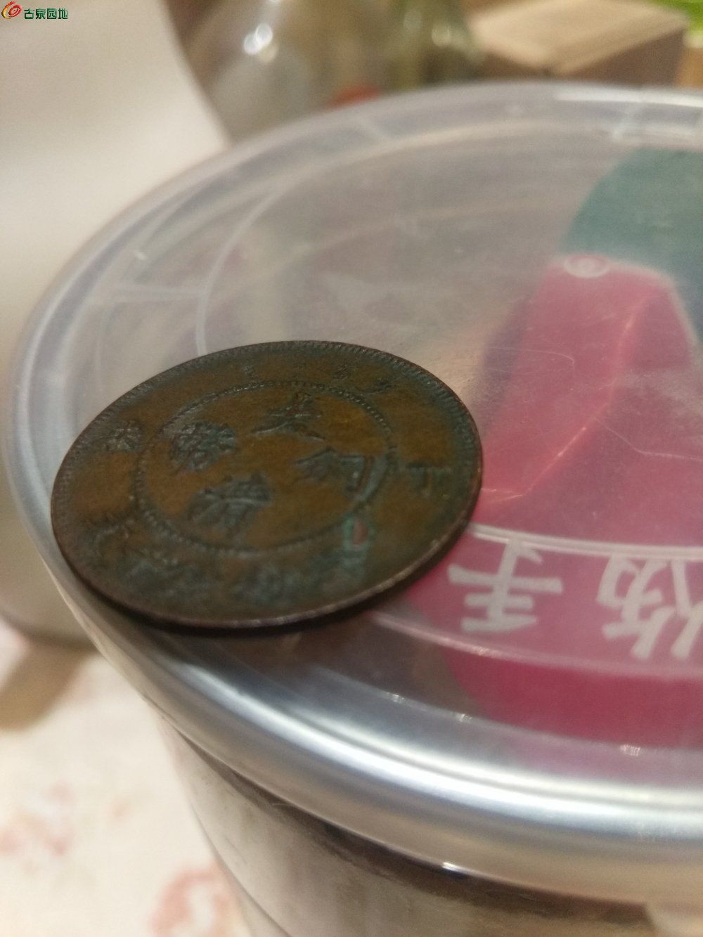 币加鸟(币加鸟念什么)