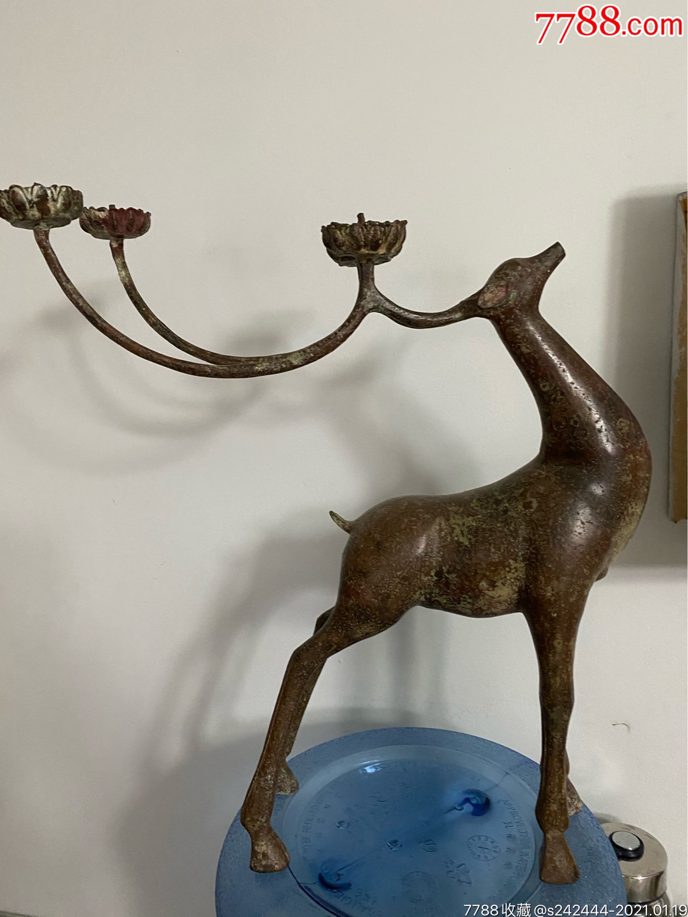鹿币(鹿血晶的功效与作用)