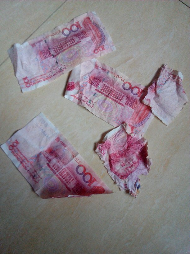 币口袋(口袋币计划)