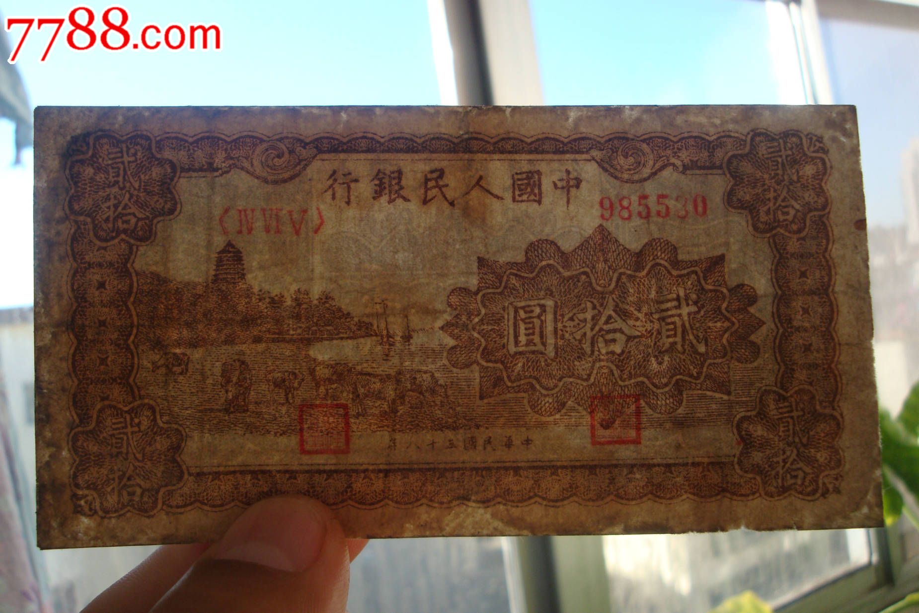 牧牛币(牧牛币圈)