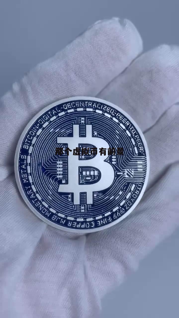 虚拟币风险(虚拟币风险大吗)