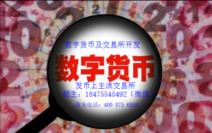 ico虚拟币(虚拟币 ido)
